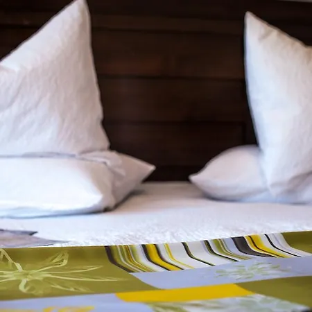 Pensjonat Roata Faget 3*